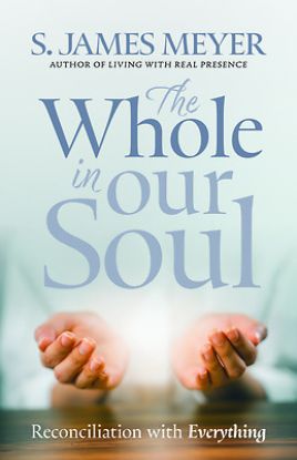 Picture of The Whole in Our Soul