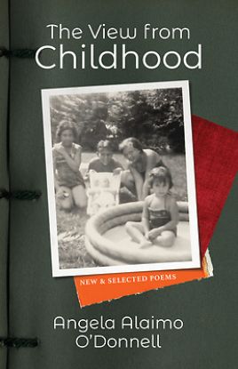 Picture of The View from Childhood