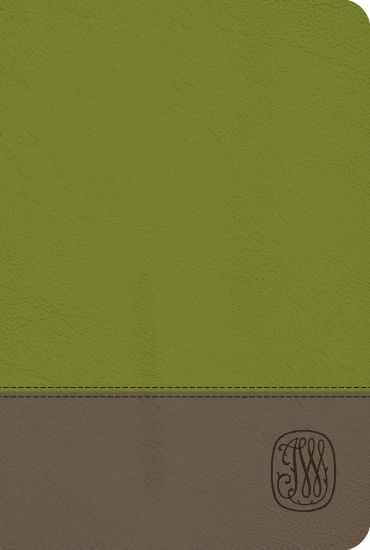 Picture of NRSV Wesley Study Bible