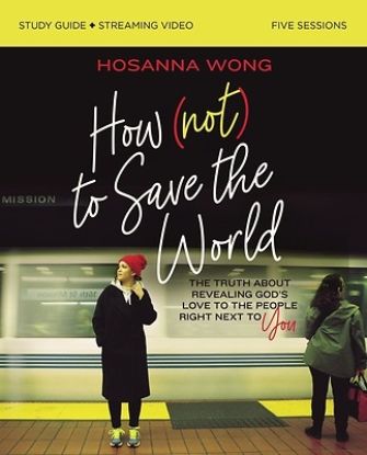 Picture of How (Not) to Save the World