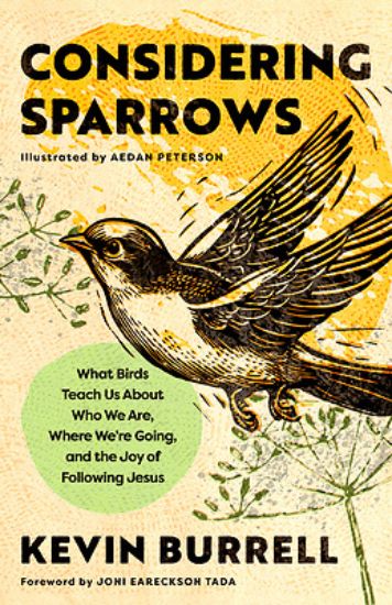 Picture of Considering Sparrows