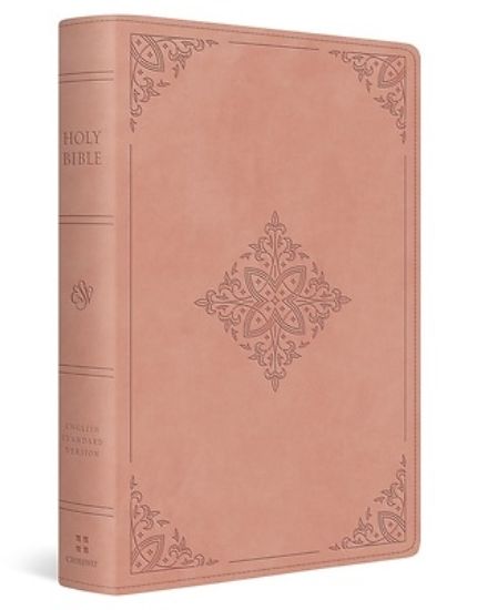 Picture of ESV Holy Bible
