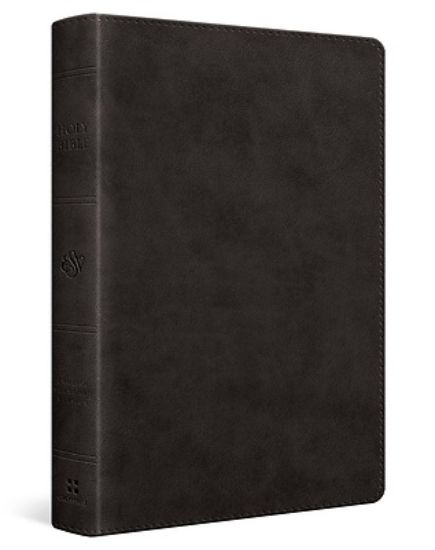 Picture of ESV Wide Margin Reference Bible, Red Letter (Trutone, Black)