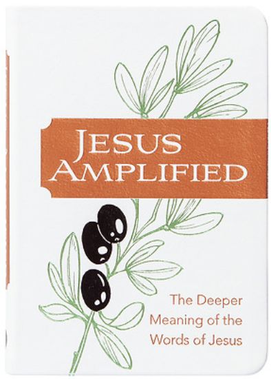 Picture of Jesus Amplified