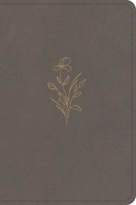 Picture of KJV Large Print Compact Reference Bible, Clay Leathertouch