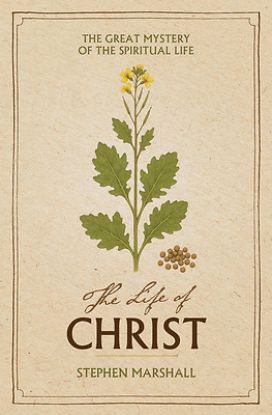 Picture of The Life of Christ