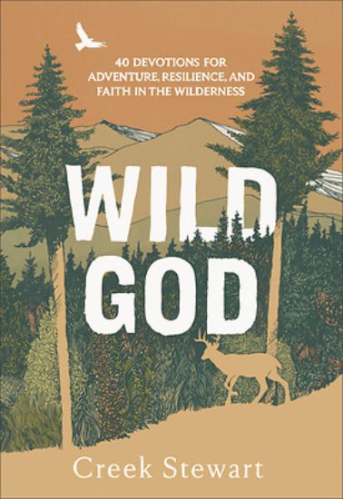 Picture of Wild God