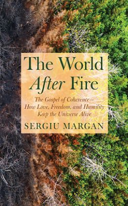 Picture of The World After Fire