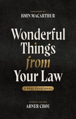 Picture of Wonderful Things from Your Law