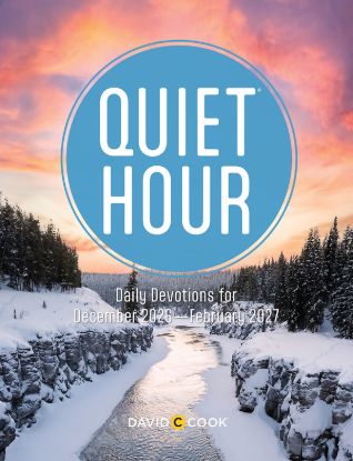 Picture of Echoes Adult The Quiet Hour Winter