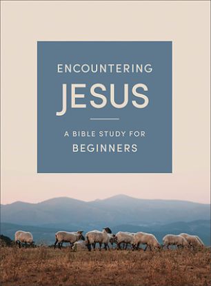 Picture of Encountering Jesus