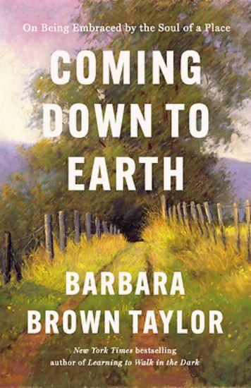 Picture of Coming Down to Earth