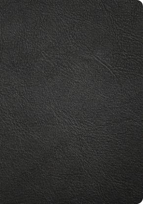 Picture of CSB Apologetics Study Bible, Revised & Updated, Easy-To-Read Optimal Type, Black Genuine Leather