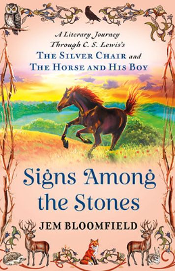 Picture of Signs Among the Stones