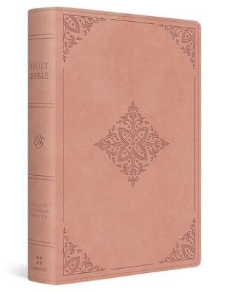 Picture of ESV Large Print Value Personal Size Bible, Red Letter (Trutone, River Stone, Branch Design)