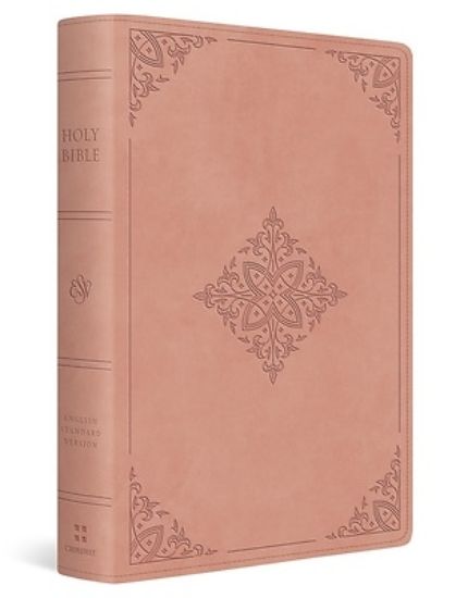 Picture of ESV Large Print Value Personal Size Bible, Red Letter (Trutone, River Stone, Branch Design)