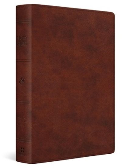 Picture of ESV Giant Print Personal Size Bible (Trutone, Chestnut)