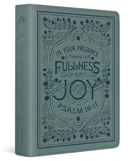 Picture of ESV Single Column Journaling Bible (Trutone, Paris Sky, Psalm 16