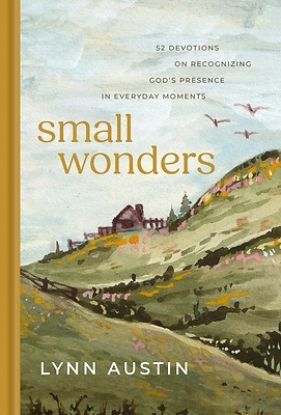 Picture of Small Wonders