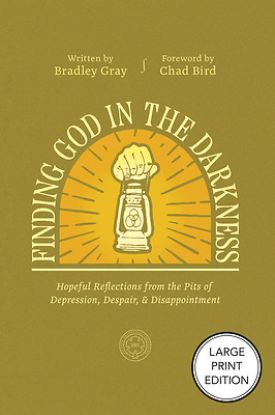 Picture of Finding God in the Darkness