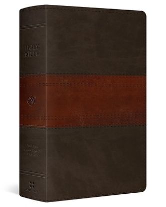Picture of ESV Large Print Personal Size Bible, Red Letter (Trutone, Forest/Tan, Trail Design)