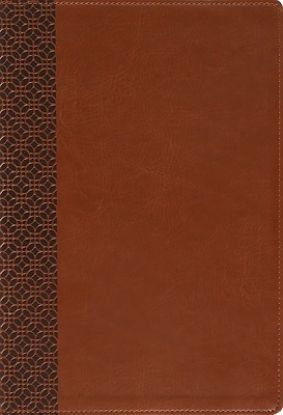 Picture of Amplified Holy Bible, Large Print, Leathersoft, Brown