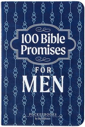 Picture of 100 Bible Promises for Men