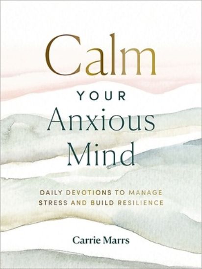 Picture of Calm Your Anxious Mind