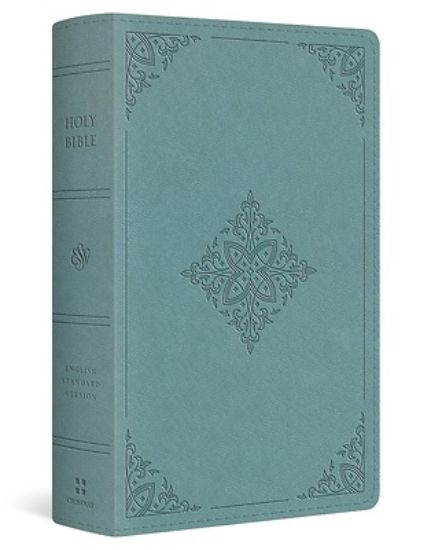 Picture of ESV Single Column Heritage Bible (Trutone, Paris Sky, Fleur-De-Lis Design)