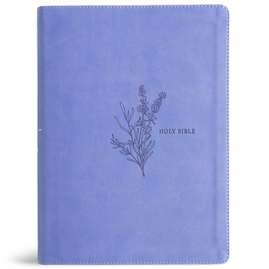 Picture of KJV Study Bible, Full-Color, Lavender Leathertouch, Indexed