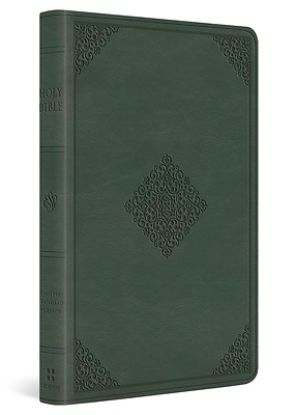Picture of ESV Large Print Value Thinline Bible (Trutone, Quiet Forest, Ornament Design)