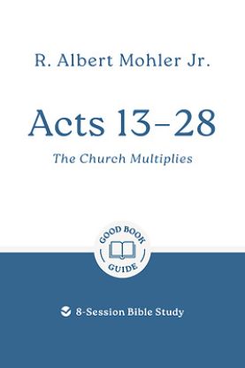Picture of Acts 13 - 28