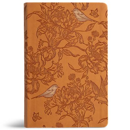 Picture of CSB Large Print Personal Size Reference Bible, Optimal Type, Digital Study Edition, Brown Leathertouch, Indexed
