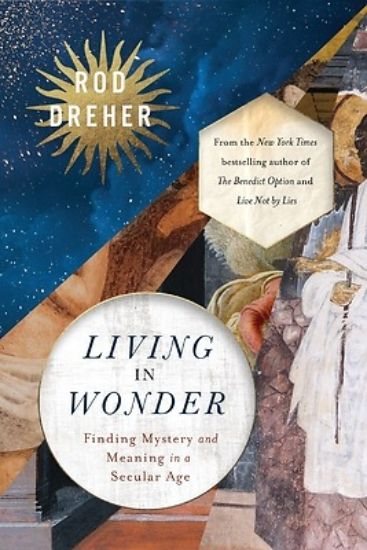 Picture of Living in Wonder
