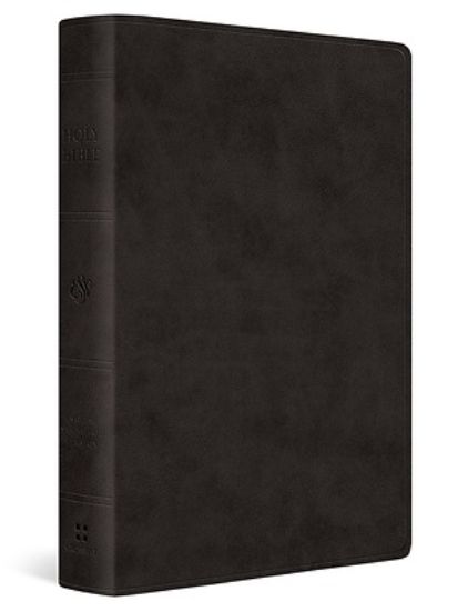 Picture of ESV Giant Print Value Thinline Bible (Trutone, Black)