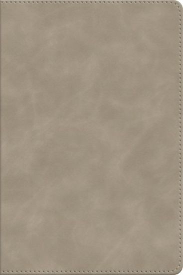Picture of ESV Beholding Christ Bible