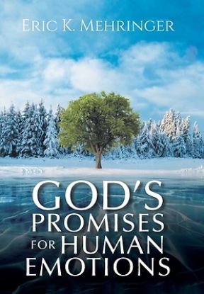 Picture of God's Promises for Human Emotions