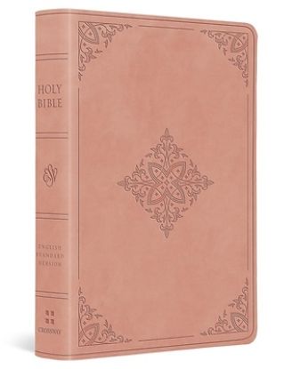 Picture of ESV Value Large Print Compact Bible (Trutone, Blush Rose, Fleur-De-Lis Design)