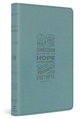 Picture of ESV Large Print Value Thinline Bible (Trutone, Paris Sky, Hebrews 10