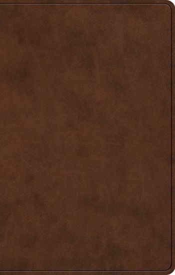 Picture of ESV Premium Gift Bible (Trutone, Brown)