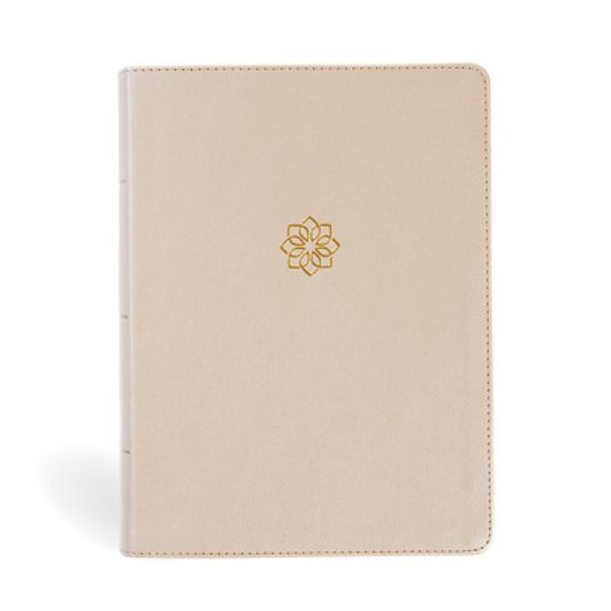 Picture of CSB Study Bible, Large Print, Digital Study Edition, Gold Leathertouch, Indexed