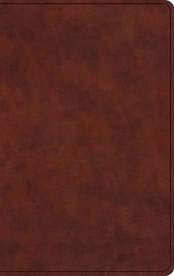 Picture of ESV Large Print Value Thinline Bible (Trutone, Chestnut)