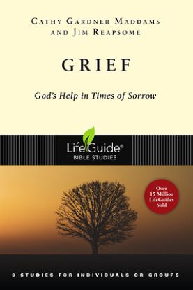 Picture of LifeGuide Bible Study-Grief