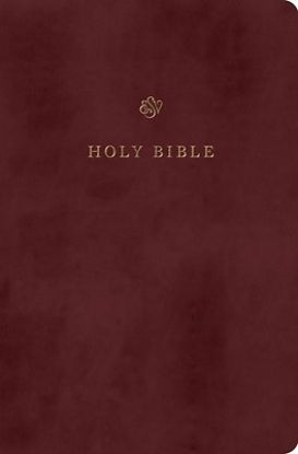 Picture of ESV Gift and Award Bible (Trutone, Burgundy)