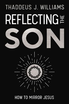 Picture of Reflecting the Son