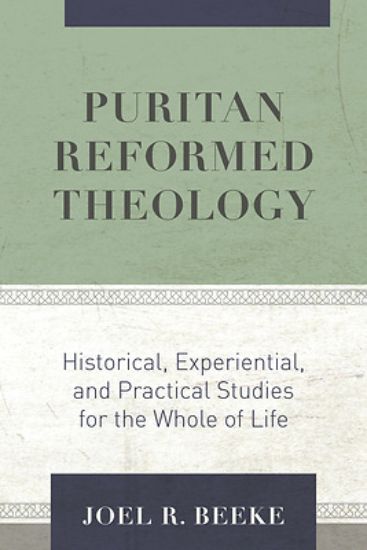 Picture of Puritan Reformed Theology