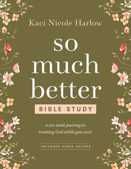 Picture of So Much Better Bible Study with Streaming Video Access