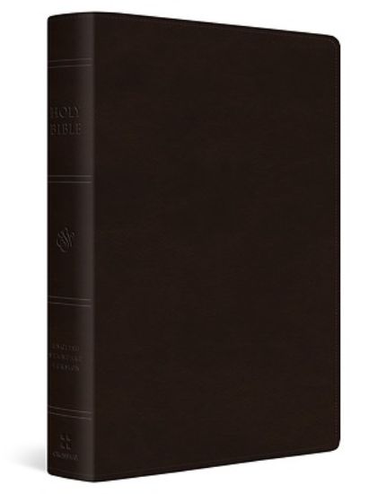 Picture of ESV Large Print Value Personal Size Bible, Red Letter (Trutone, Deep Brown)