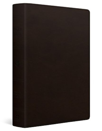 Picture of ESV Large Print Value Personal Size Bible, Red Letter (Trutone, Deep Brown)