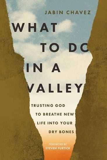 Picture of What to Do in a Valley
